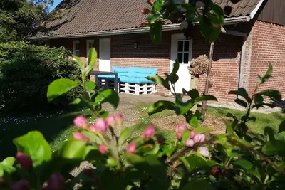 Image de Appartement \/ app. pour 5 personnes à 75 m² à Jork (125784)