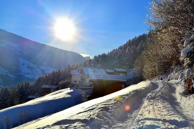 Image de Hutte de forêt, moins c'est plus