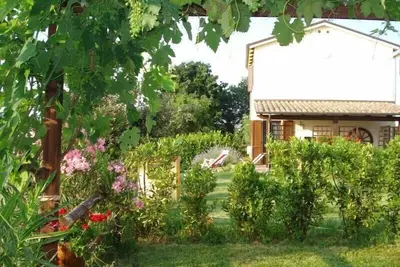 Image de Maison calme, située sur un vignoble avec piscine et un panorama splendide