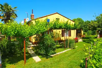 Image de House 1037/3738 (Istria - Fažana), 300m from the beach