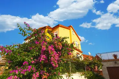 Image de Apartment 1200/11029 (Istria - Fažana), 300m from the beach