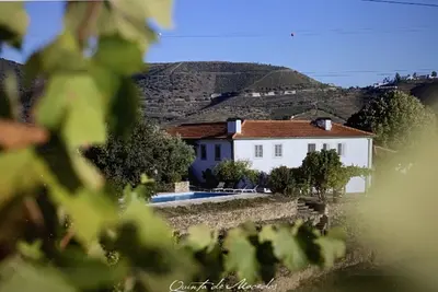 Image de Superbe vignoble isolé avec piscine au cœur de la région du port du Douro.