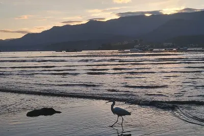 Image de Appartement neuf, meublé, cuisine complète à 600 mètres de la plage de Tabatinga