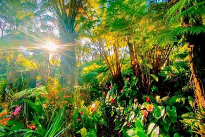 Image de Obtenez votre Zen On. . . . . <br>Paisible, tranquille et tout simplement génial.