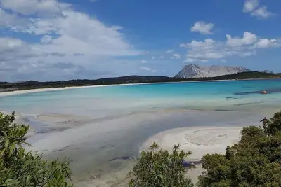 Image de Villa mitoyenne dans un parc verdoyant