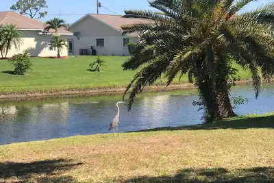 Image de maison confortable propre avec une belle vue sur le canal