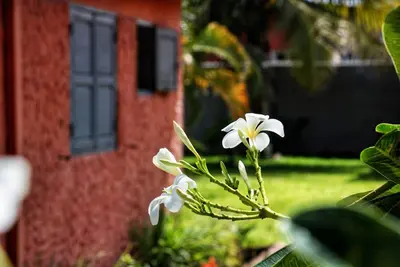 Image de Villa en bordure de lagune avec piscine