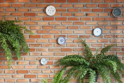 Image de Rythme de Chiang Mai, près de l'aéroport et de la vieille ville