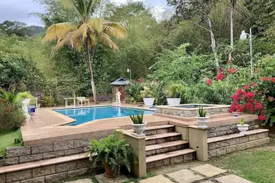 Image de Escapade tranquille dans la forêt tropicale