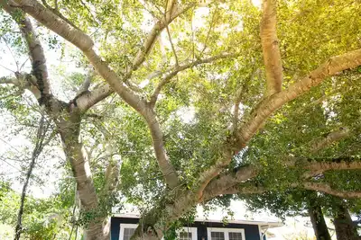 Image de Sweeping Ocean Views, Very Private Cottage