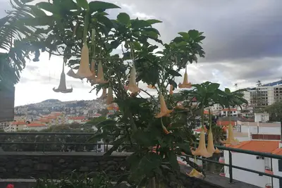 Image de Casa Vanday, belle vue sur la ville