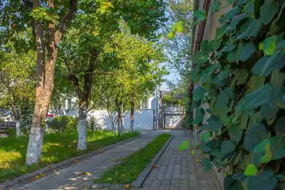 Image de Natsvlishvili Apartment