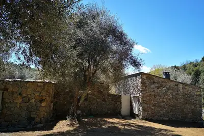 Image de Ancienne bergerie en pierre entièrement rénovée à 2 pas de Corte