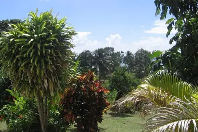 Image de ------Villa T3------
