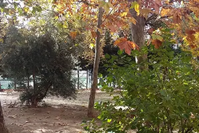 Image de Appartement-Ifema-Aeroport-Metropolitano-Tranquilite