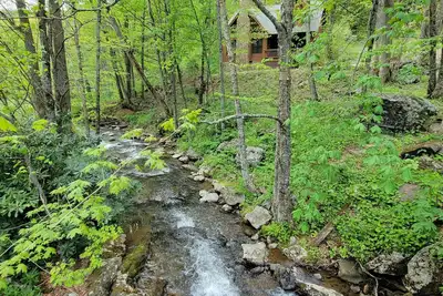 Image de Attraper et relâcher.