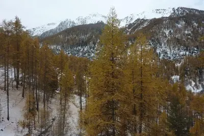 Image de À 50m des pistes de ski, 1er étage, balcon, télévision, casier à ski, 32m², Les Orres