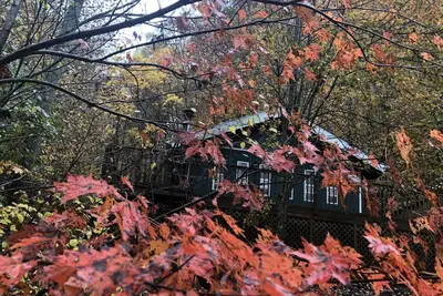 Falling Leaf Cabin - une vraie cabane dans les bois dans un cadre privé