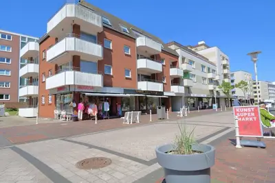 Image de Bécasseau Sylt, Allemagne