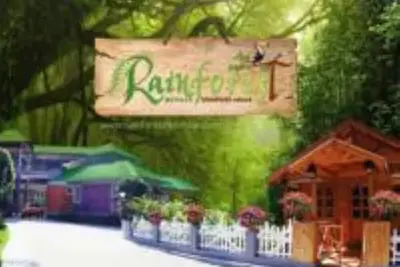 Image de Rainforest Munnar Orchard - Complexe