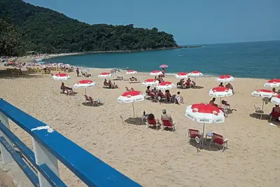 Mer De Faune Et De Flore À BOIÇUCANGA Beach