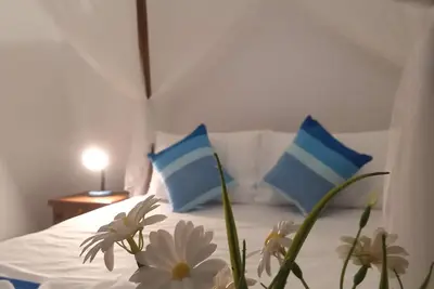 Image de Siroy Lily est une maison entière.