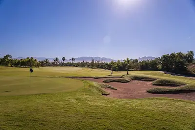 Image de Graden de la mer à Nuevo Vallarta