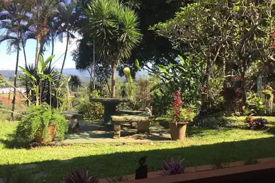 Image de Oiseau-Colibri