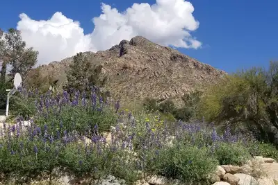 Image de Peut accueillir 6 adultes facilement! Idéalement situé sur Oracle - près de tout!