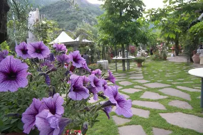 Image de Chambre quadruple spacieuse entourée de verdure près de Montecassino