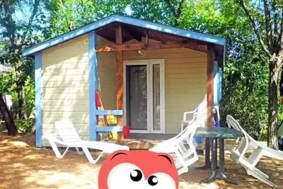 Image de Chalet Abeille Standard 19m2 (1 chambre)  + terrasse couverte 5, 50m2 4 personnes