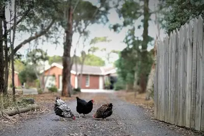 Image de Studio Ocean Grove élégant et paisible sur une superficie