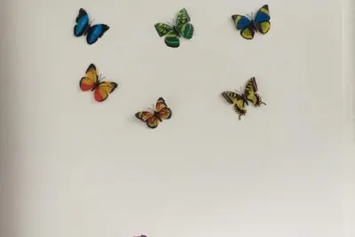 Image de Appartement-Suivez la rivière!