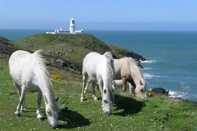 Image de Ty Gwyn, pet friendly, character holiday cottage in Goodwick