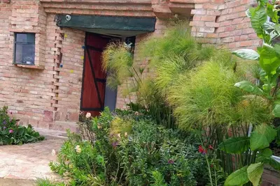 Image de Un espacio para conectarte con la naturaleza