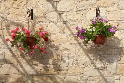 Image de Arsorama Village Homes
