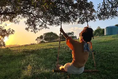 Image de Dairy Song: entre Barrington et la mer d'un bleu profond