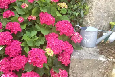 Image de Maison de famille avec terrasse/jardin plein sud, proche château et vieux port