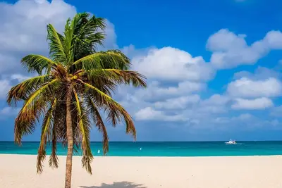 Image de Front De Mer - Eagle Beach - Oceania Resort - Brisas del Mar 2br condo - E324