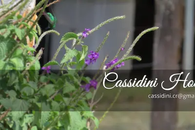 Image de *** Maison Cassidini ***