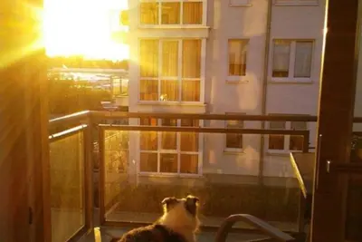 Image de Vacation apartment Strandperle 8