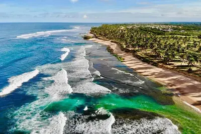 Image de Simplement Un Paradis