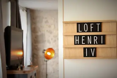Image de Magnifique Appartement - Le loft Henri Iv- face au château Henri Iv