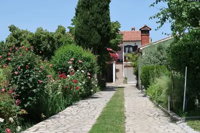 Image de Bel appartement avec Wifi, climatisation, terrasse, animaux admis et parking