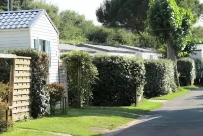 Image de Mobile home Basic 3 pièces 4 personnes