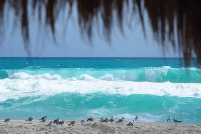 Image de Condo De La Mer Des CARAÏBES Tropicaux