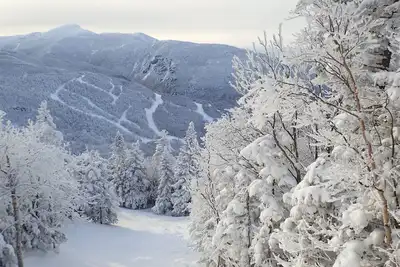 Image de Wyndham Resort 3 (Three) Br 2 bath at Smugglers Notch Ski Area Disp. 9-15Feb2020
