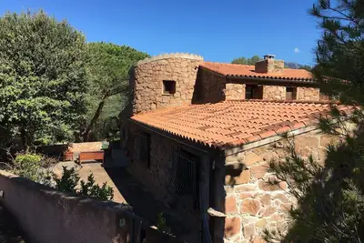 Image de Villas corses typiques dans jardin paysagé avec grande piscine Sud Corse