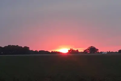 Image de Une cabane rustique Delta