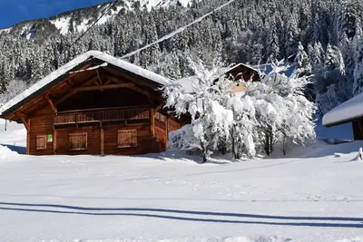 Image de Chalet indépendant 4 chambres Abondance environnement nature.
